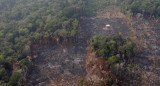 Incendio Amazonia, REUTERS