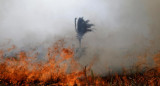 Incendio Amazonia, Brasil, REUTERS