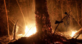 Incendios en la Amazonia, REUTERS