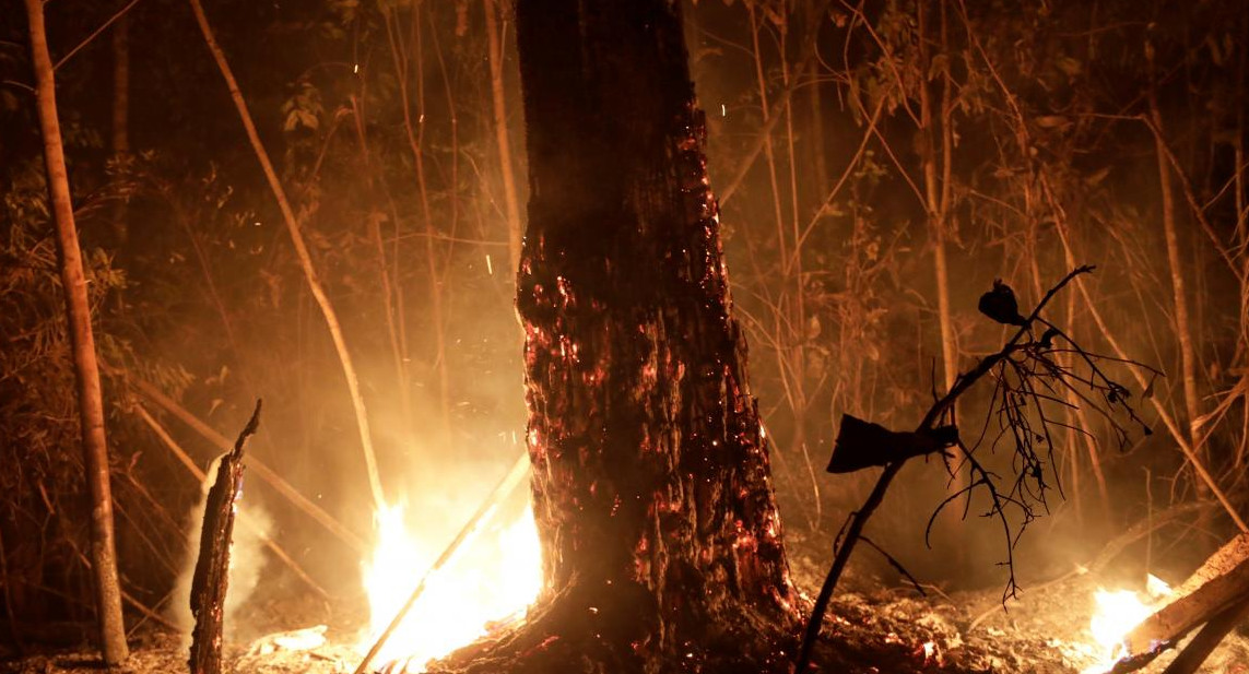 Incendios en la Amazonia, REUTERS