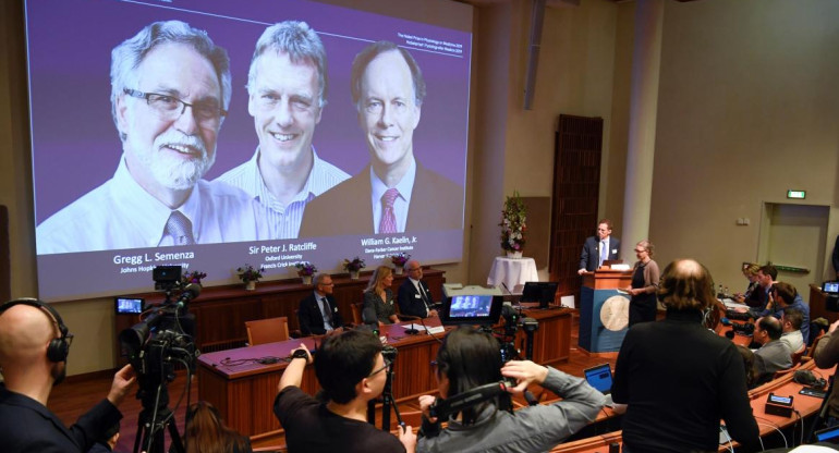 Premio Nobel, medicina, William Kaelin, Gregg Semenza y Sir Peter Ratcliffe