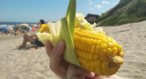 Choclo en la playa