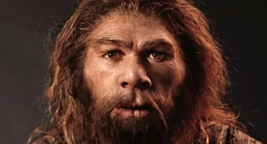 Hombre de neandertal, ciencia, antropología