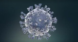 Coronavirus, captura Reuters