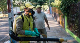 Dengue, fumigación en Paraná, TWITTER