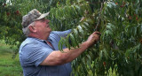 Agricultor en Estados Unidos, pesticidas