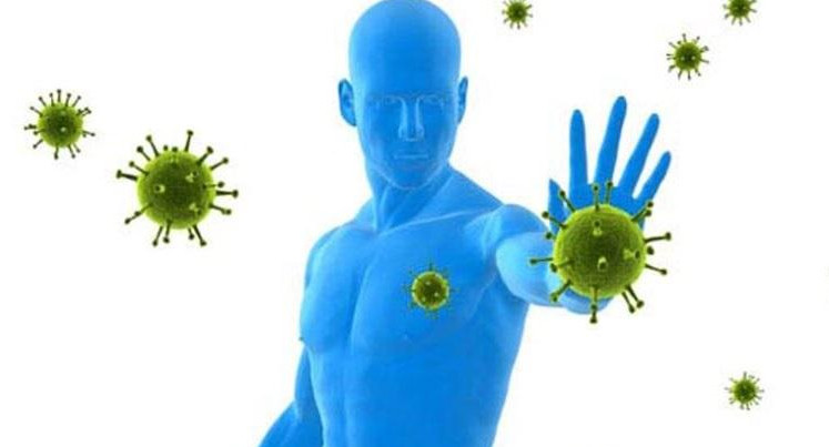 Sistema Inmunológio - Cornavirus