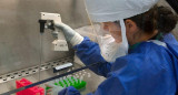 Científicos australianos, coronavirus