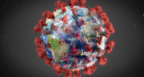 Coronavirus, pandemia