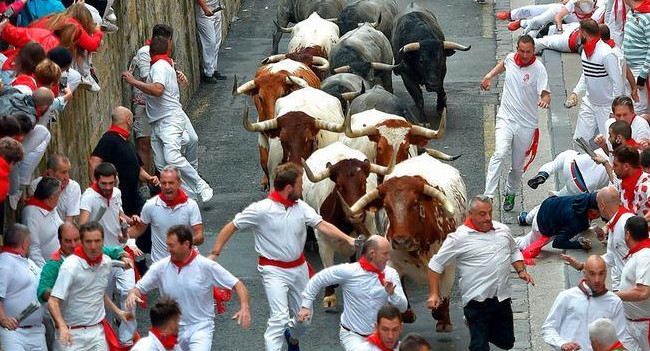 Encierro de toros en Pamplona