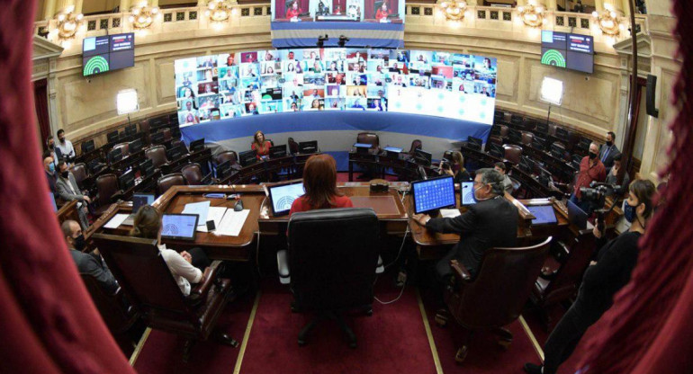 Coronavirus en Argentina, sesión virtual en Senado