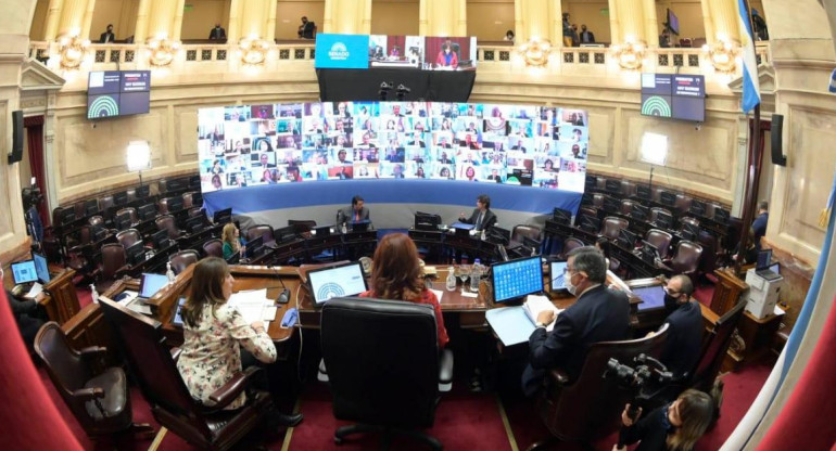 Senado, primera sesión virtual, Cristina Fernández de Kirchner, Foto Presidencia