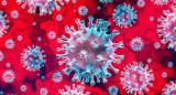 Coronavirus en el mundo, pandemia