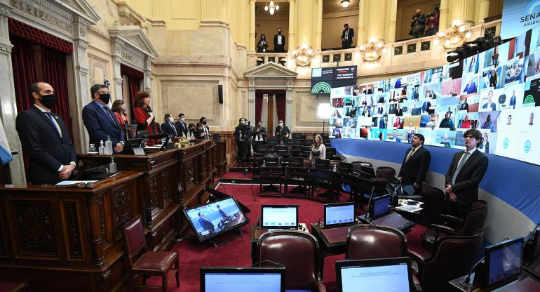 Segunda sesión remota del Senado para sancionar primeras leyes a distancia, NA
