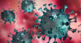 Coronavirus en el mundo, pandemia