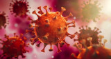 Coronavirus en el mundo, pandemia