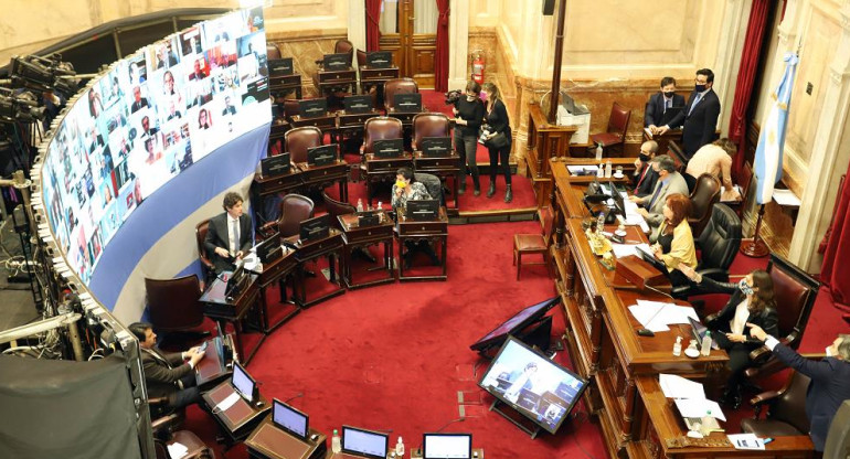 Sesión virtual en Senado, NA	