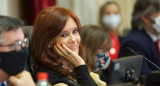 Cristina Fernández de Kirchner, Senado, NA