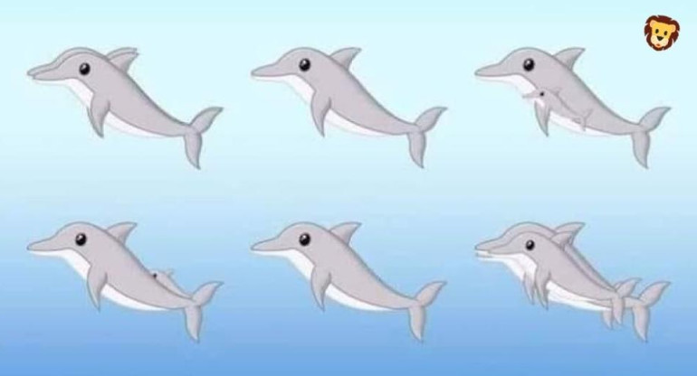 Desafío viral de delfines