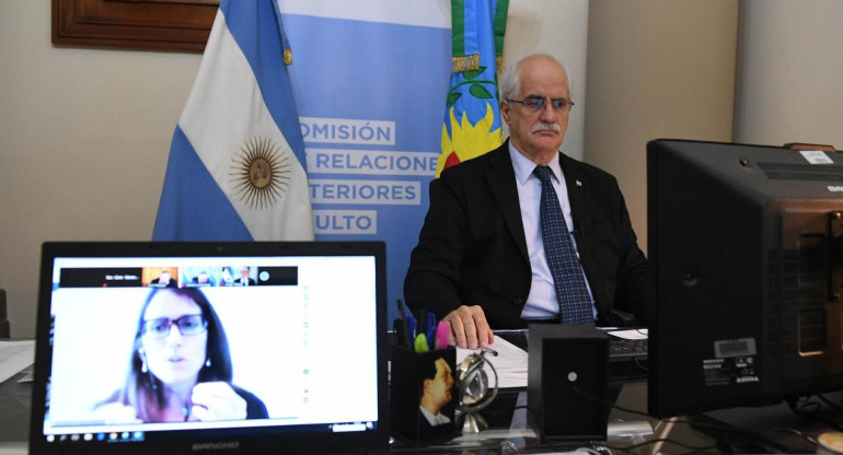 Jorge Taiana y Elizabeth Gomez Alcorta en Comision de Relaciones Exteriores del Senado de la Nacion, donde expuso la Ministra de Mujeres, Generos y Diversidad, AGENCIA NA