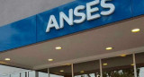 ANSES. Foto: NA.