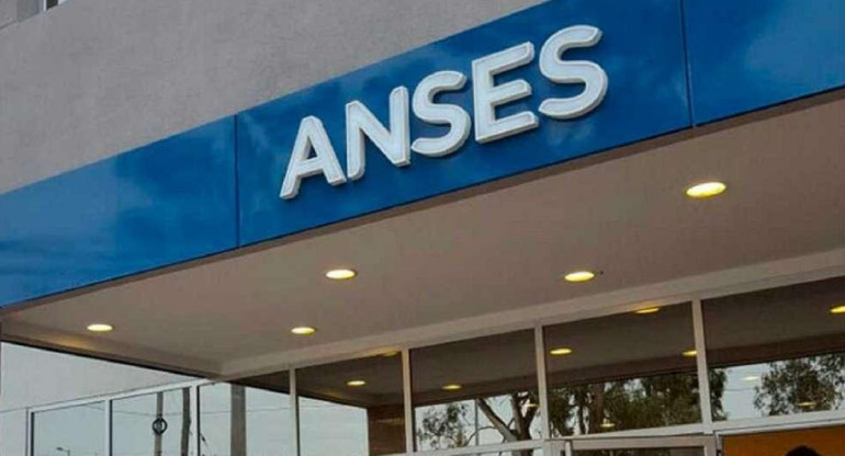 ANSES. Foto: NA.