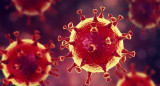 Coronavirus en el mundo, pandemia