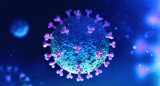 Coronavirus en el mundo, pandemia