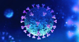 Coronavirus en el mundo, pandemia