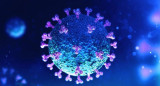 Coronavirus en el mundo, pandemia