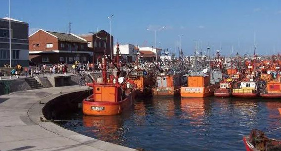 Puerto de Mar del Plata, Wikipedia
