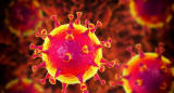 Coronavirus en el mundo, pandemia