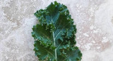 Kale