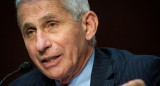 Anthony Fauci