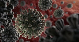 Coronavirus en el mundo, pandemia