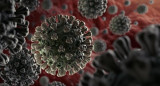 Coronavirus en el mundo, pandemia