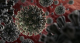 Coronavirus en el mundo, pandemia