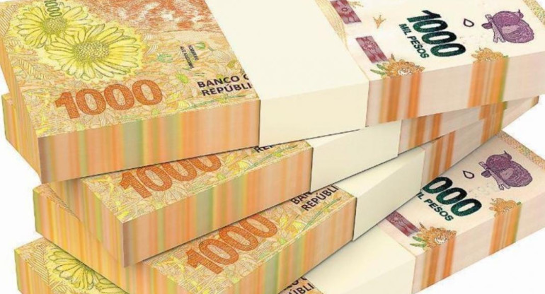 Billetes de 1000 pesos, dinero, pesos argentinos