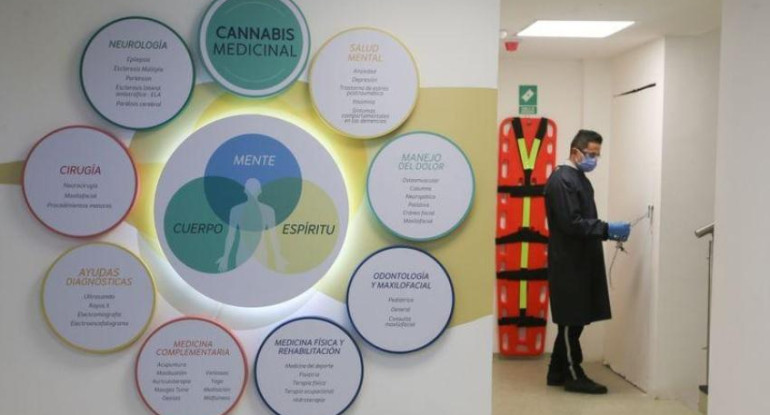 Clínica de marihuana medicinal abre en Colombia para curar el cuerpo y la mente durante pandemia, REUTERS