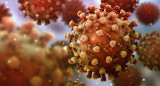 Coronavirus en el mundo, pandemia