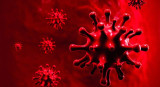 Coronavirus en el mundo, pandemia