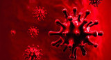 Coronavirus en el mundo, pandemia