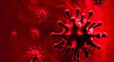 Coronavirus en el mundo, pandemia