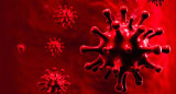 Coronavirus en el mundo, pandemia
