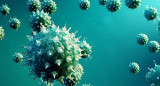 Coronavirus en el mundo, pandemia