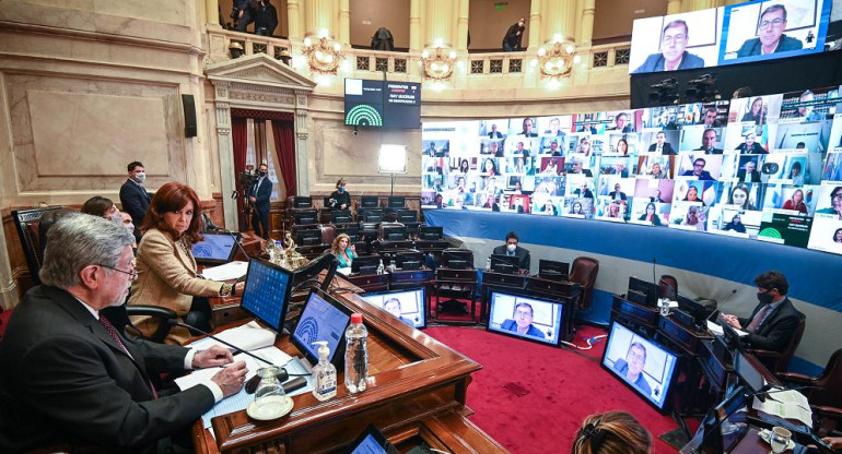 Senado de la Nación, Cámara de Senadores, Cristina Kirchner, Congreso, NA