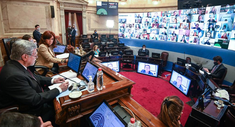 Senado de la Nación, Cámara de Senadores, Cristina Kirchner, Congreso, NA