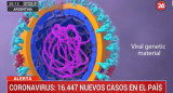 Coronavirus en Argentina, 7-10-2020, CANAL 26