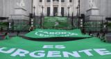 Partidarios del proyecto de ley de aborto legal frente al Congreso, NA