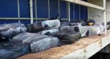 Operativo anti drogas en Misiones, marihuana, foto captura video de Twitter